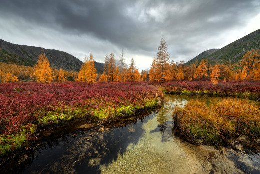 �1759850 �������(a): ����������:2000x1335